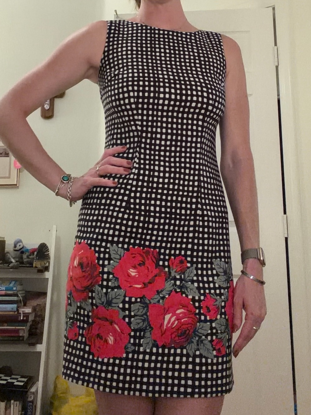 Alyx Dress Sleeveless Black & White Check Dress with Red Floral Border